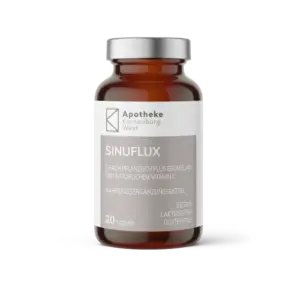 SINUFLUX (20 Stk.)